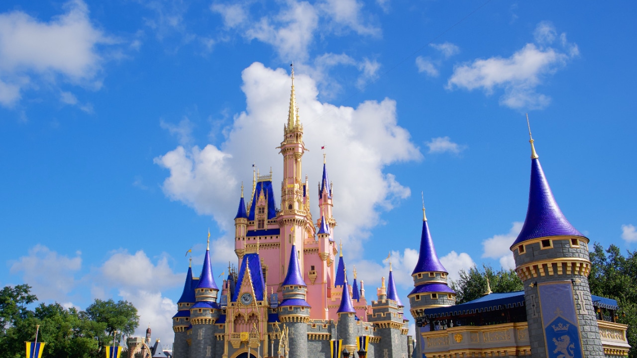 Picture of a castle in Disney World in Orlando Florida