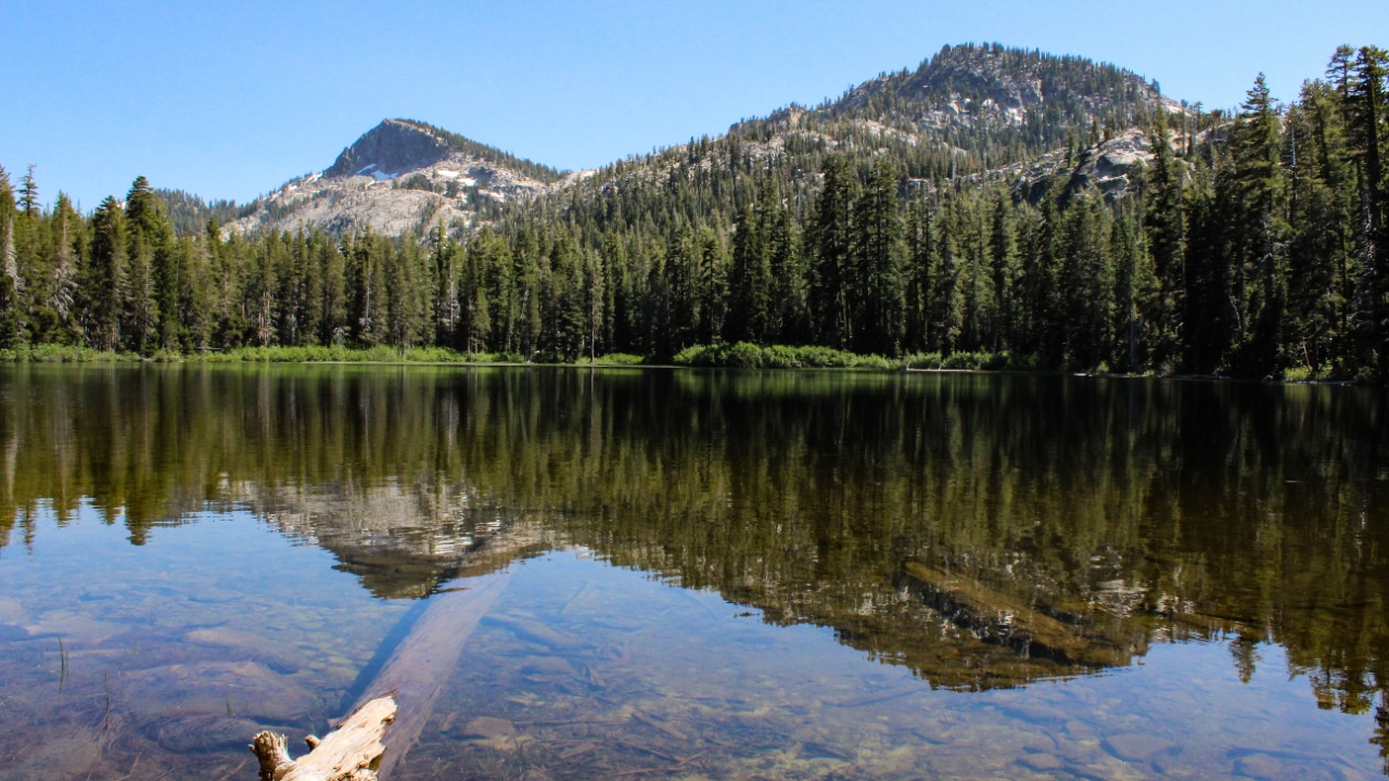 The Emerald Bay Trail Run offers scenic views of a serene lake with a log peacefully resting in its waters.