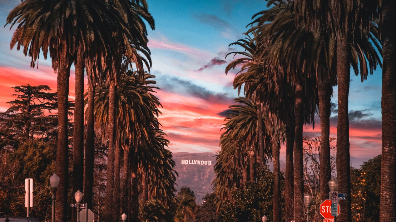 Los Angeles Marathon runners pass by the iconic Hollywood sign and palm trees under the breathtaking sunset in Los Angeles.