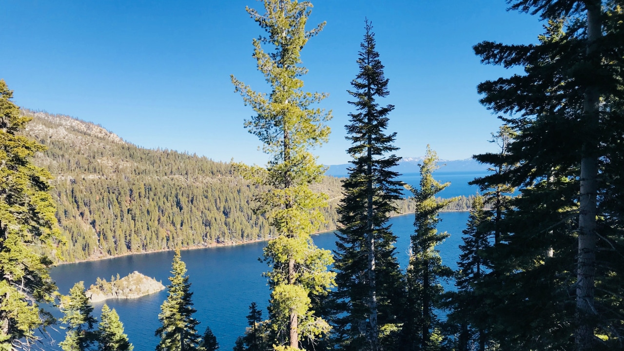 Trees and lake in Lake Tahoe, Nevada