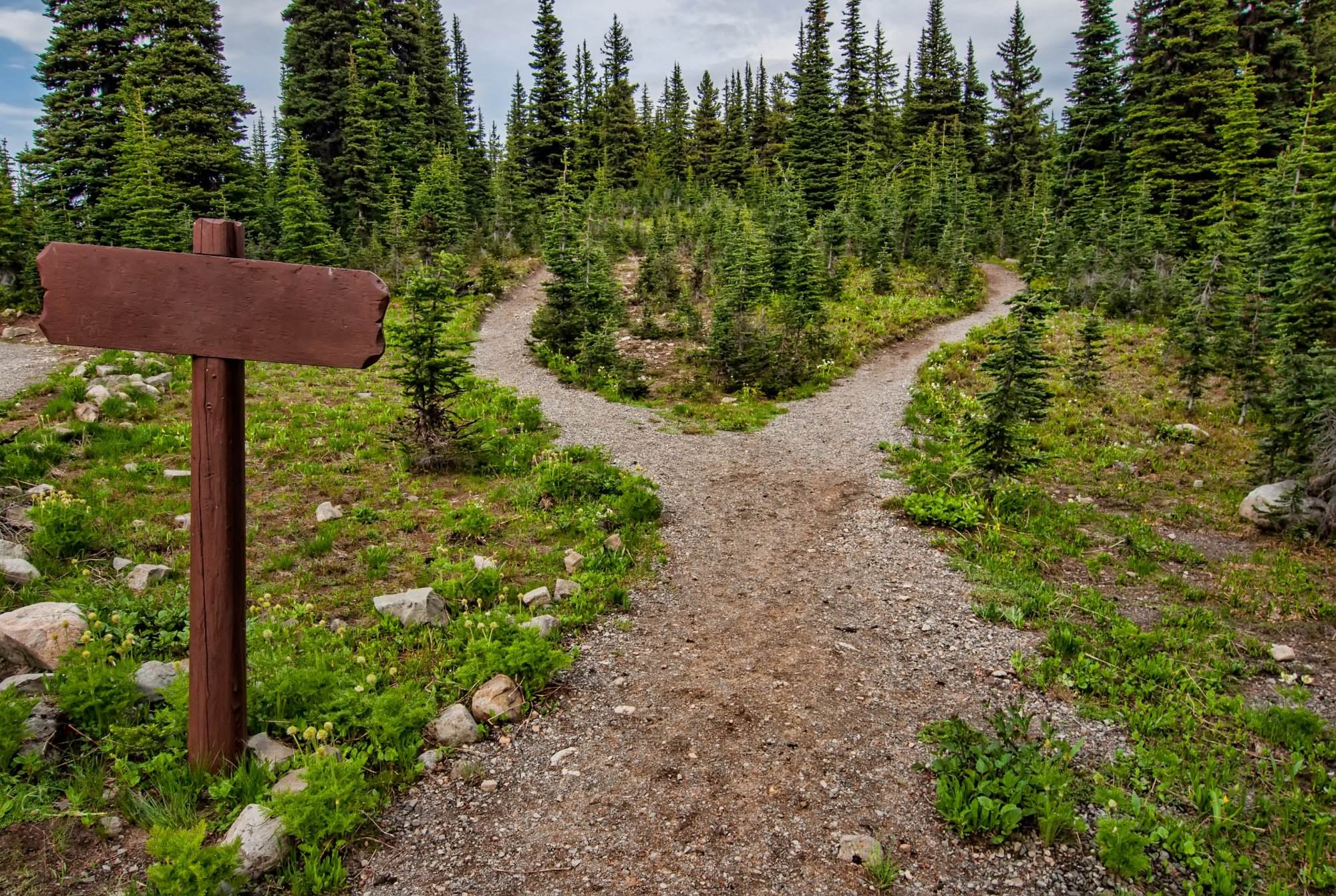 A sign guiding ultrarunners to a trail in the middle of a forest.