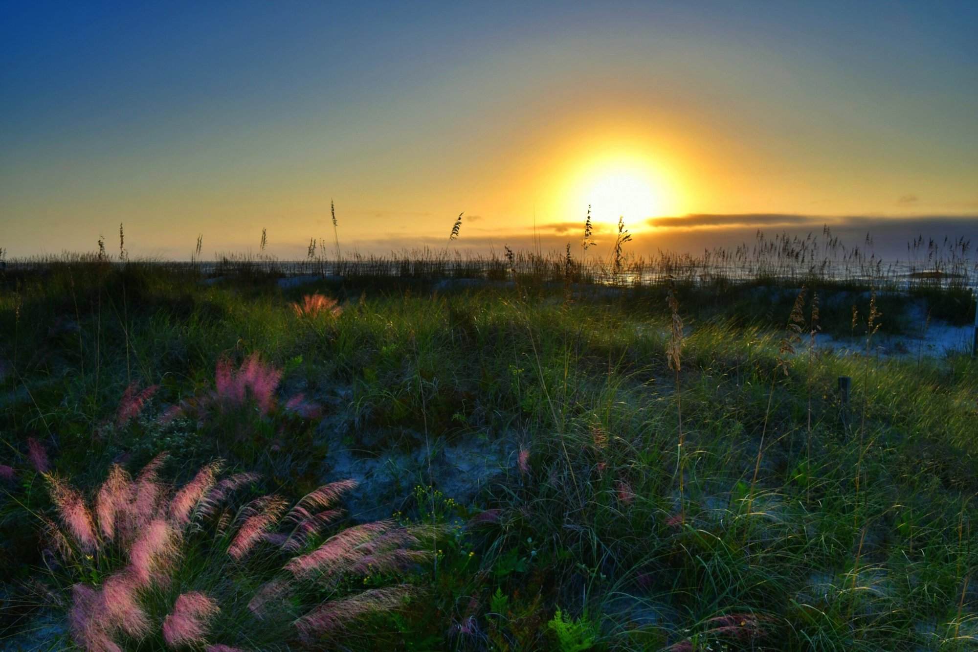 Beach sunrise at Hilton Head Island in North Carolina