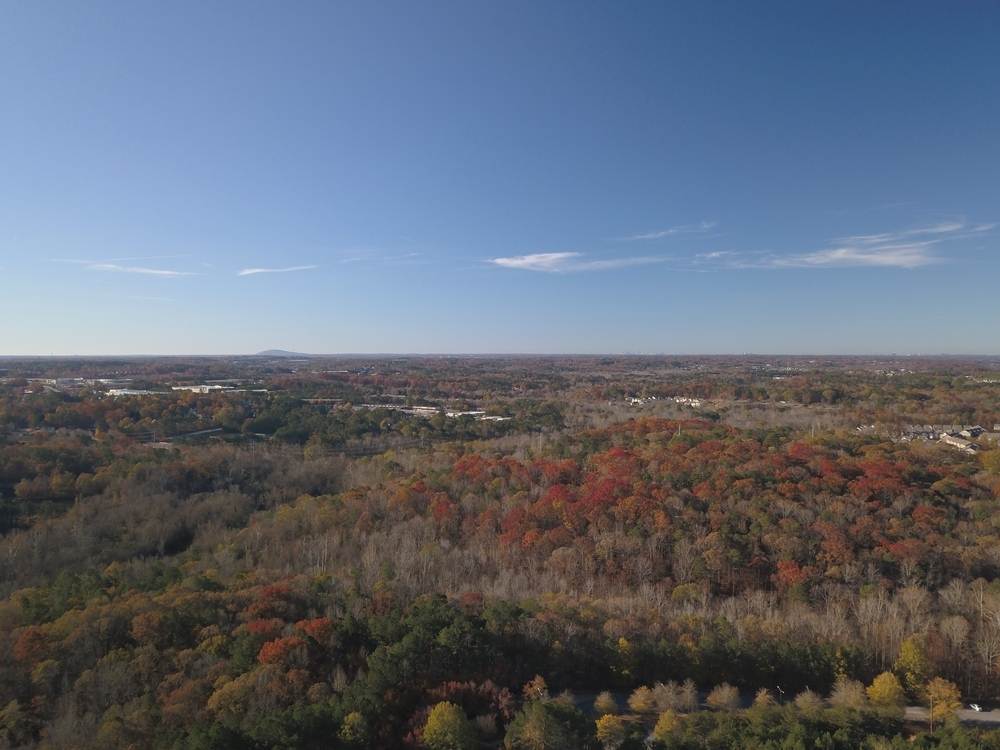 An aerial view of a forest in fall colors.
