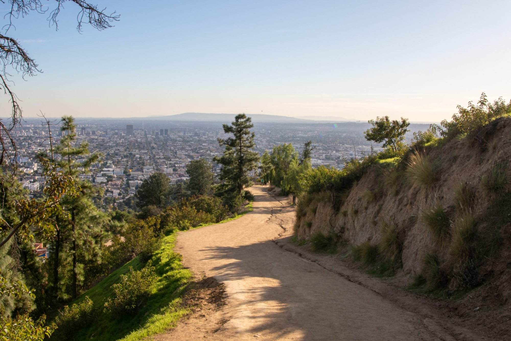 A trail path at Griffith Park in Los Angeles, California