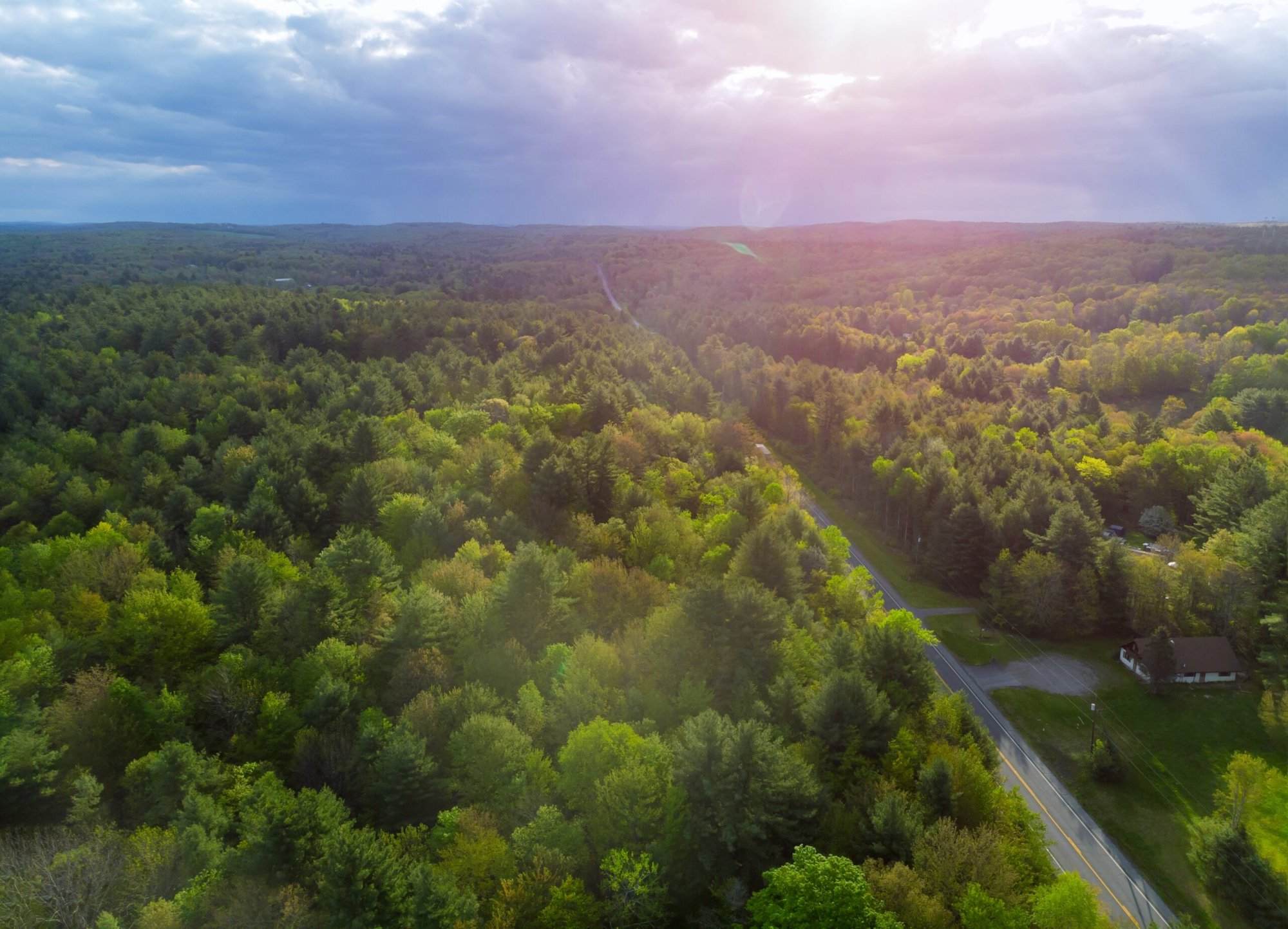 An aerial view of a forest and road.
